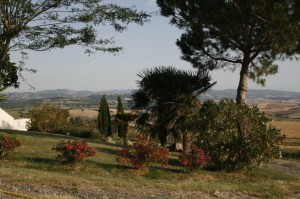 Foto: Blick in die Landschaft