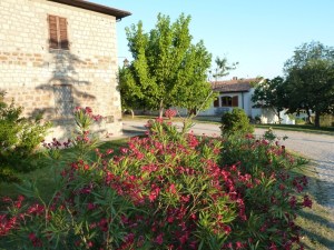 Der Hof von Aia della Colonna